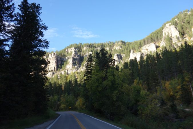 Spearfish South Dakota Drive Evergreens Mountain Road Trip