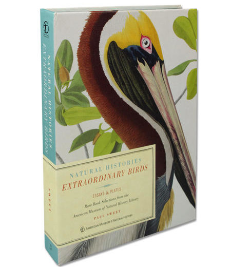 extraordinary-birds-cover_imagelarge