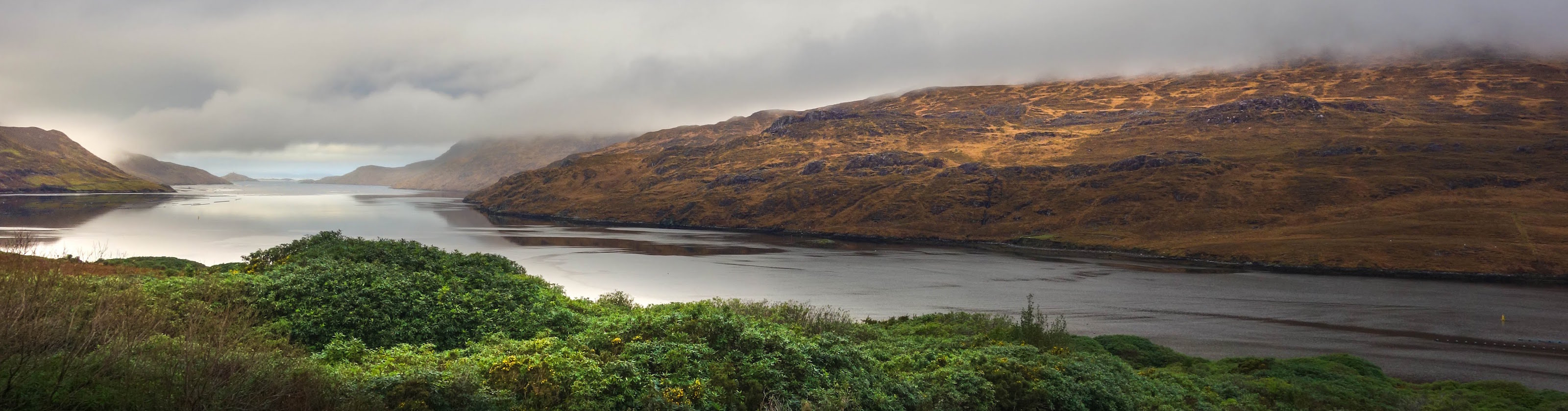 DSC06559-1edited 123